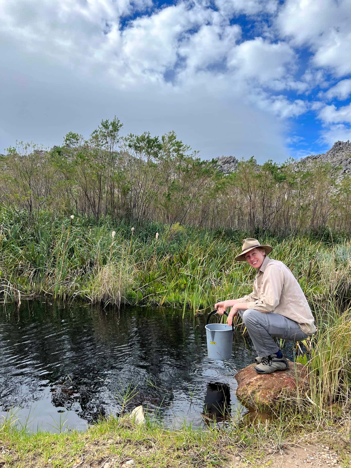 FABI sampling for <i>Phytophthora</i> in Cape riverine ecosystems