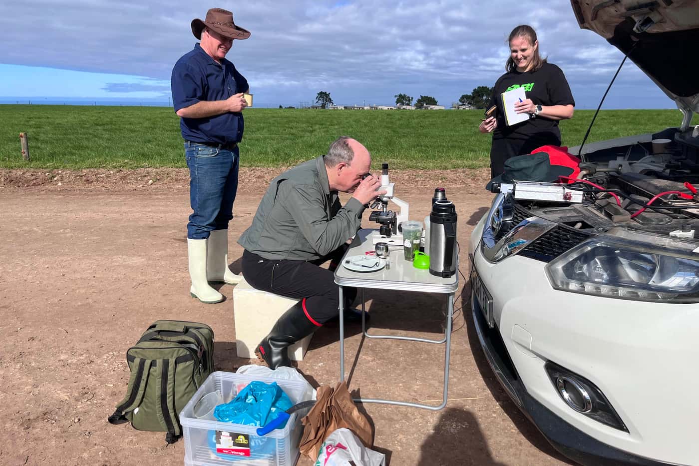 First grass sampling expedition: FABI and Milk SA collaborate to uncover <i>Pseudopithomyces</i> ins