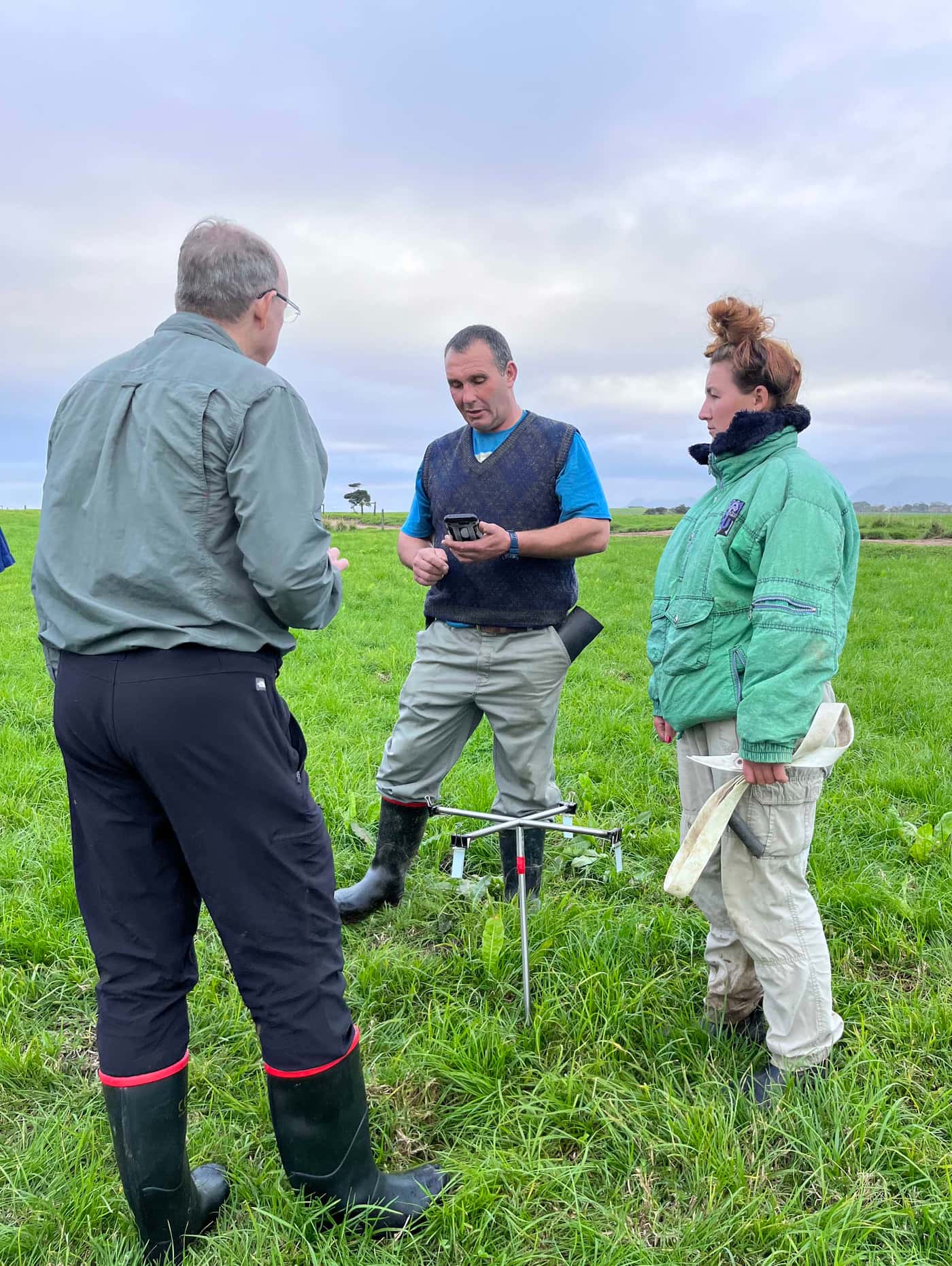 First grass sampling expedition: FABI and Milk SA collaborate to uncover <i>Pseudopithomyces</i> ins
