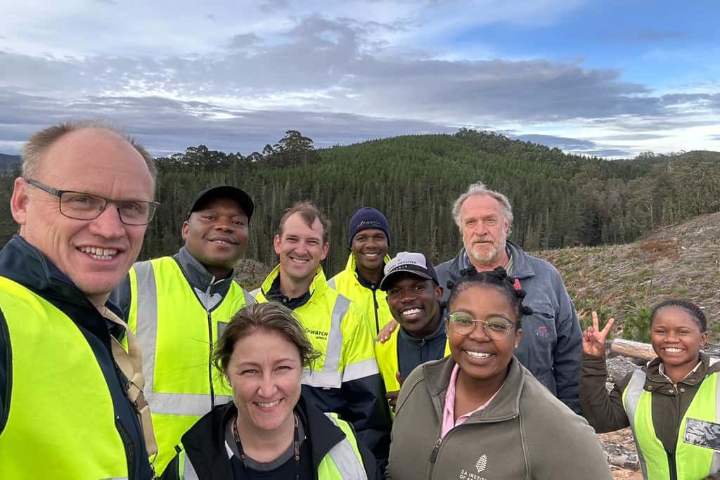 Moving from young eucalypts to young pine for the National Forest Pest and Pathogen Surveillance strategy