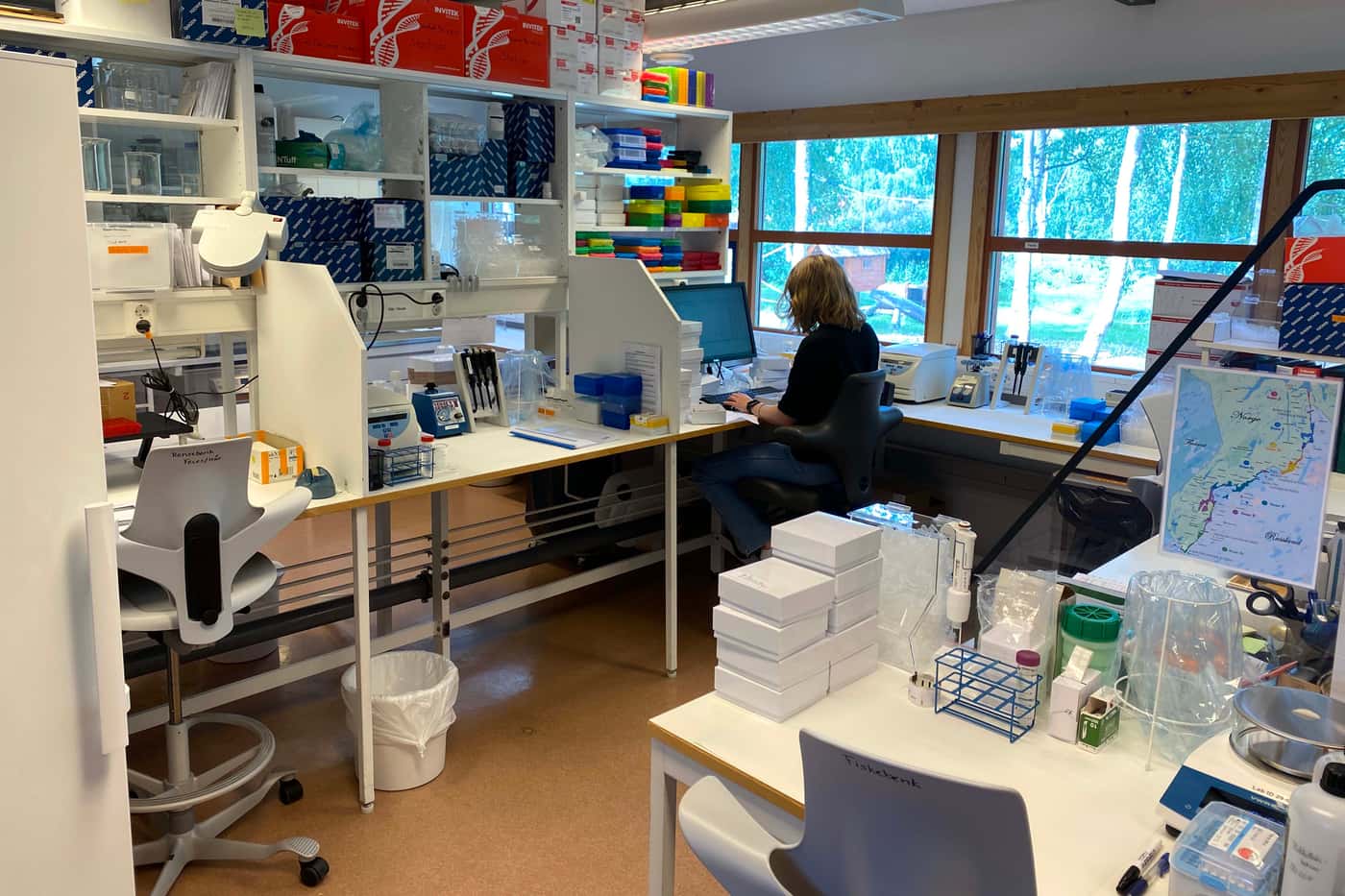 Genetics research thrives north of the Arctic Circle