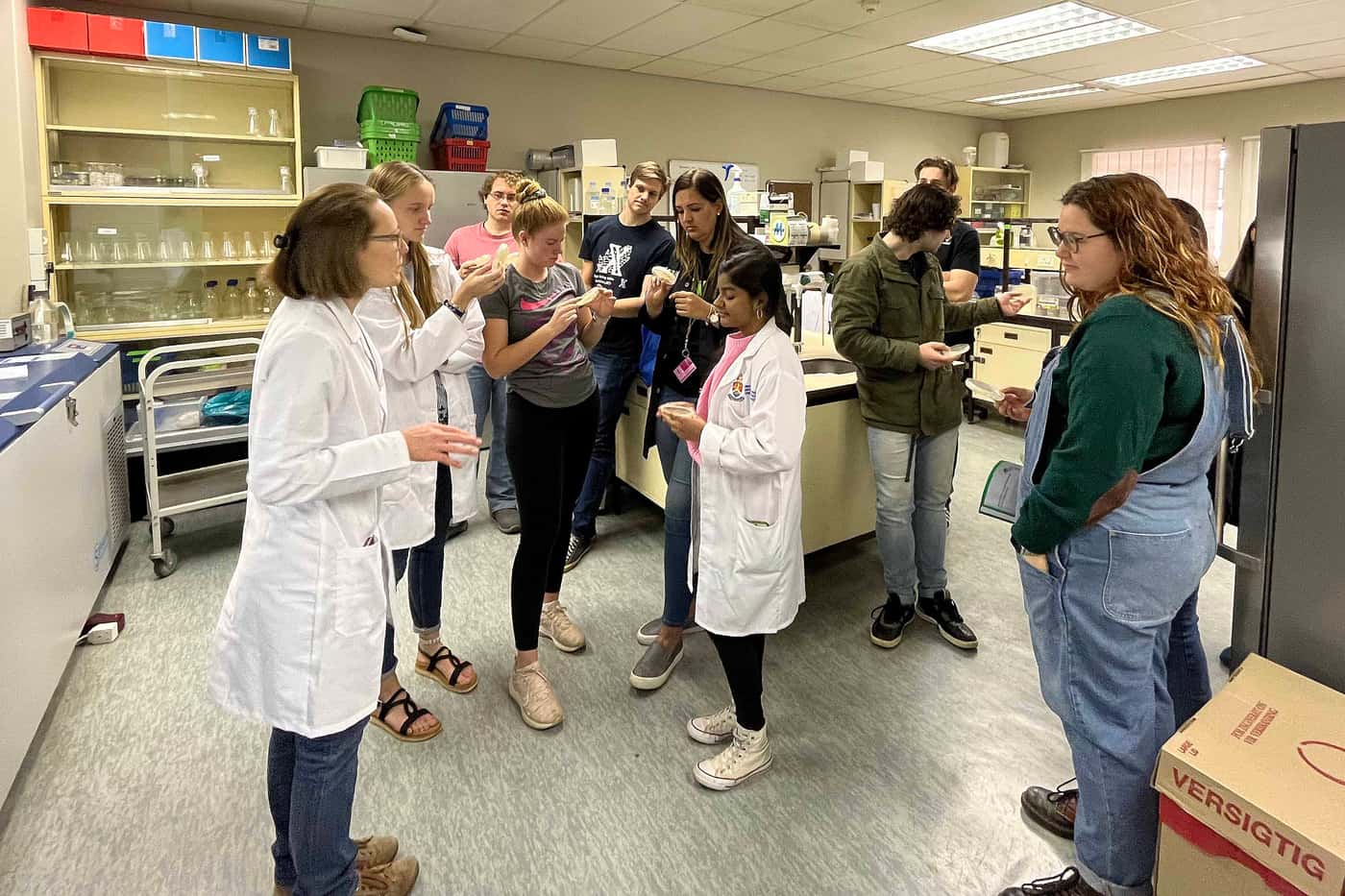 FABI organised the first “Agrobacterium mediated transformation of spore producing fungi” workshop