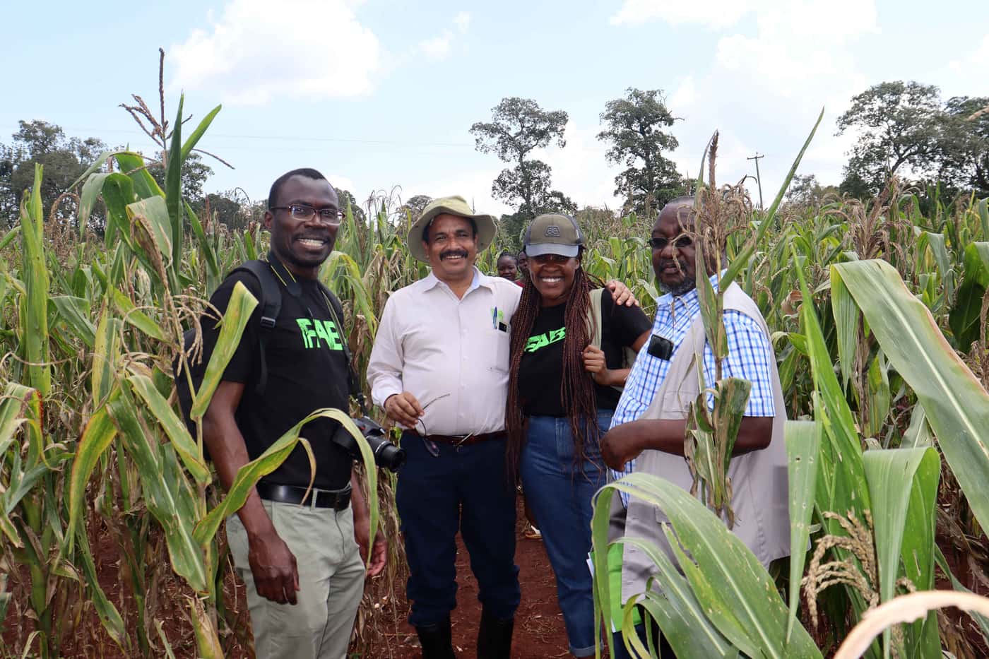 Maize disease outreach extends to Kenya