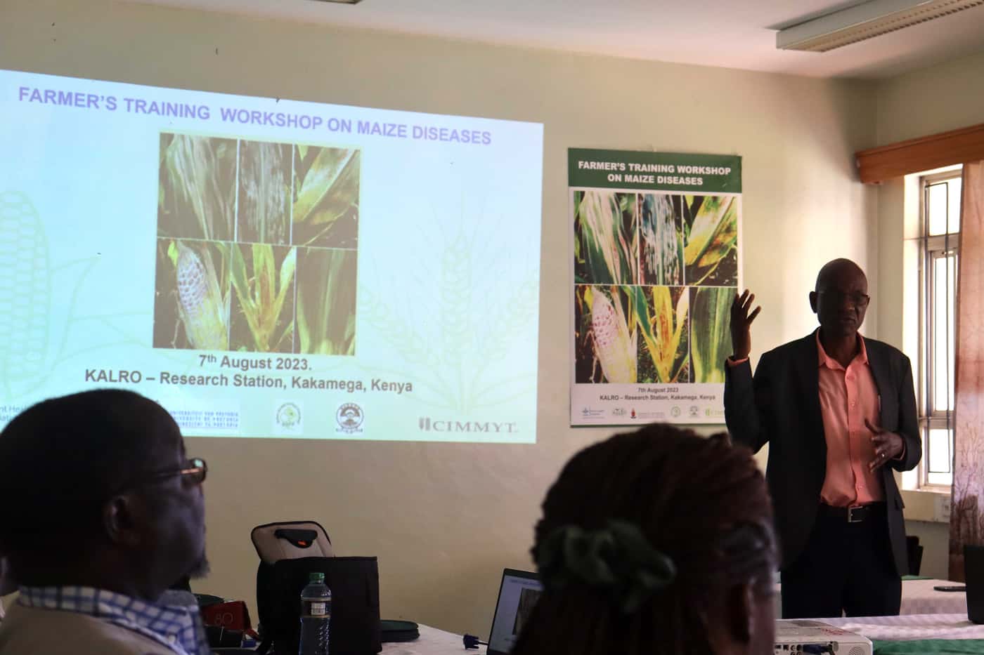 Maize disease outreach extends to Kenya