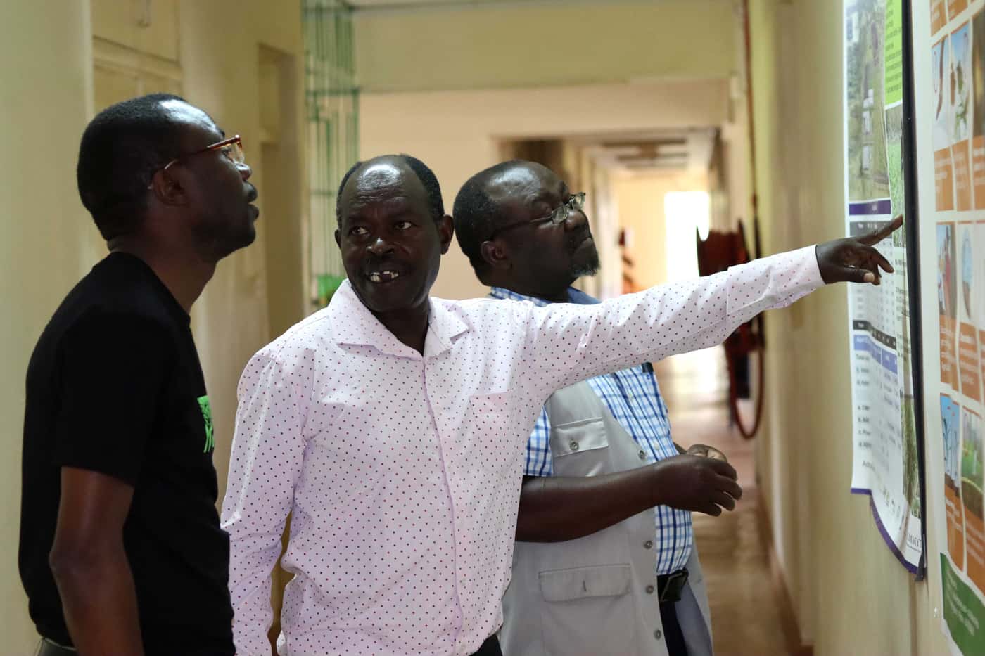 Maize disease outreach extends to Kenya