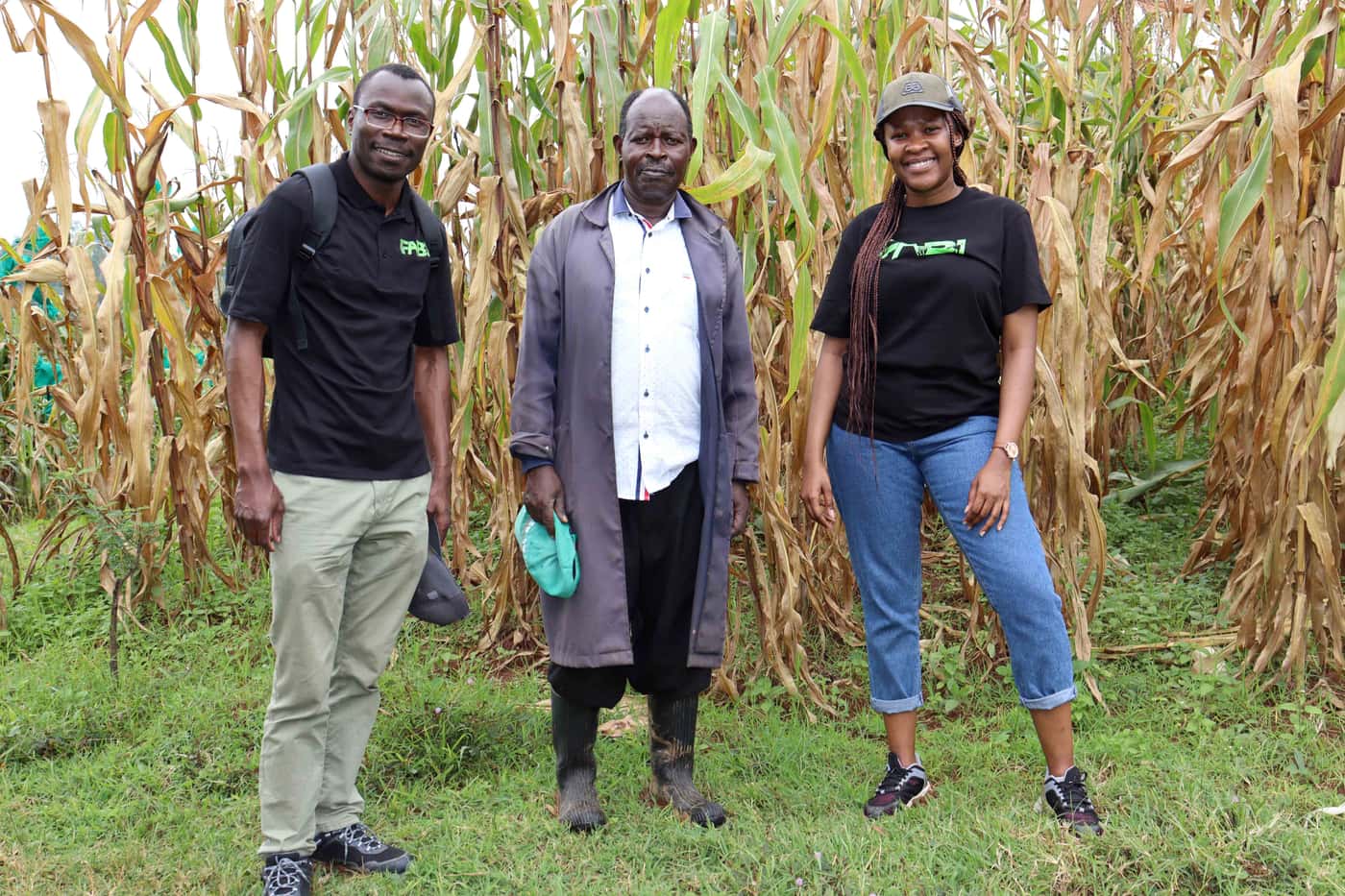 Maize disease outreach extends to Kenya