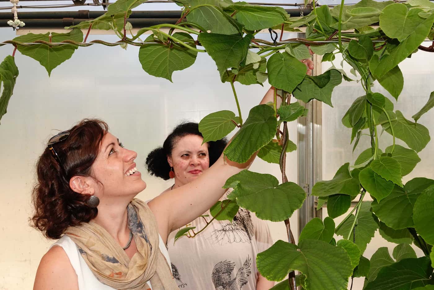 Prof. Caterina Villari visits FABI