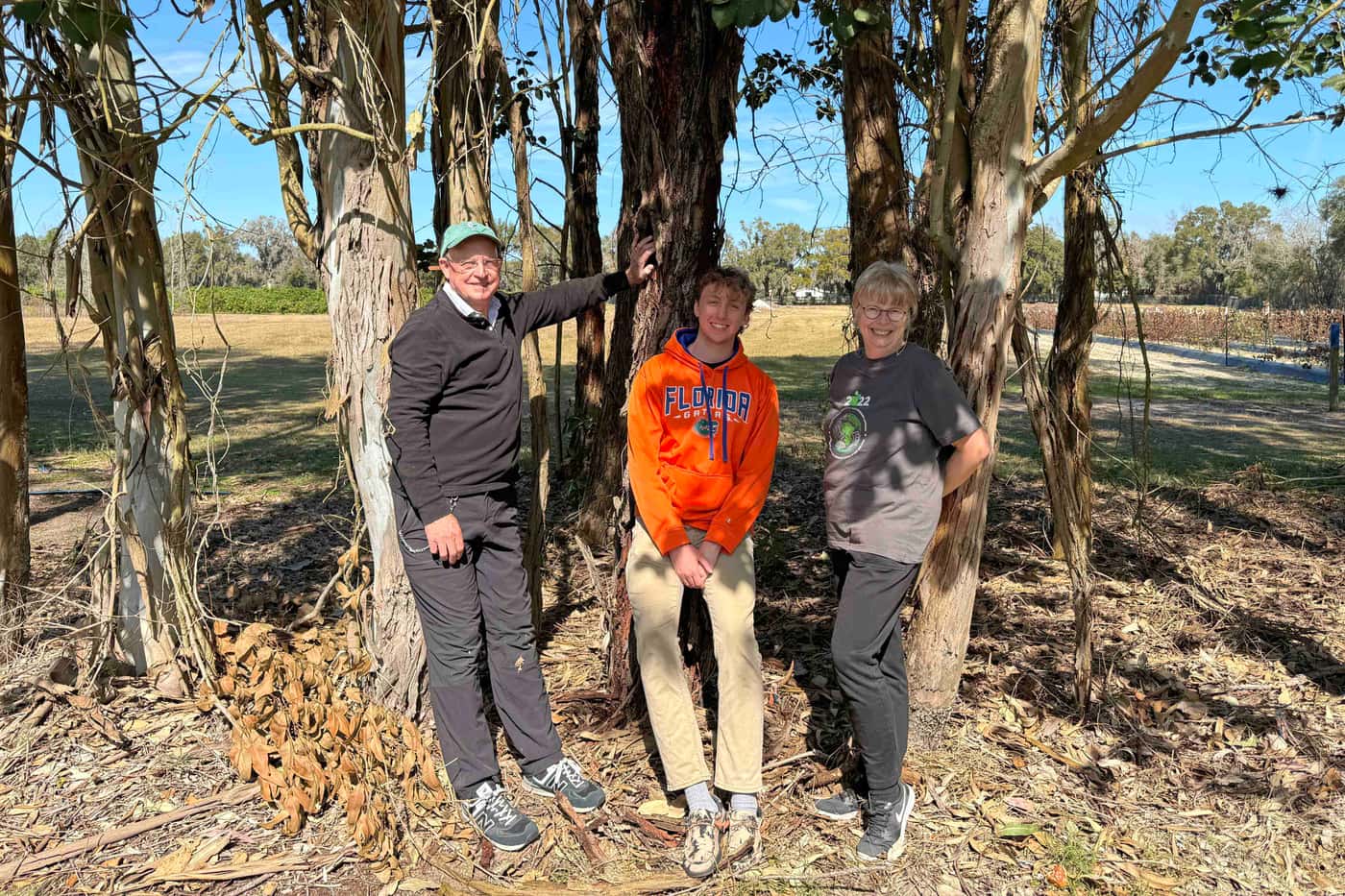 In search of Florida Cryphonectriaceae