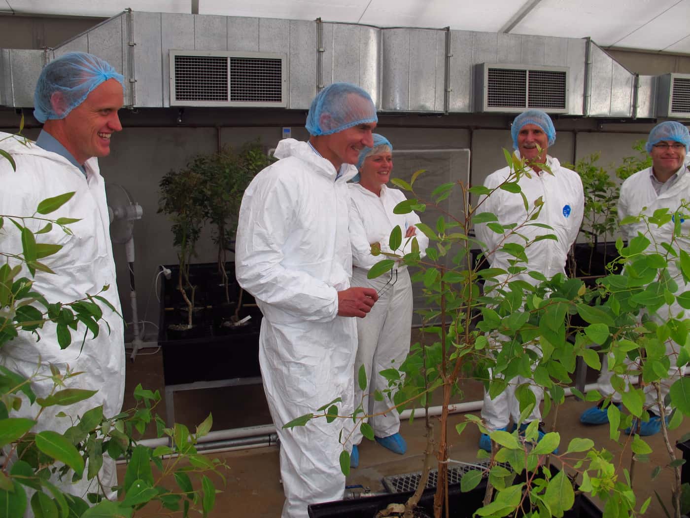 Sappi Executives visit FABI