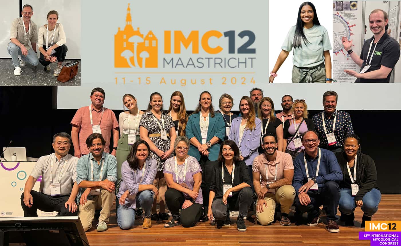 FABI at the 12<sup>th</sup> International Mycological Congress (IMC12)