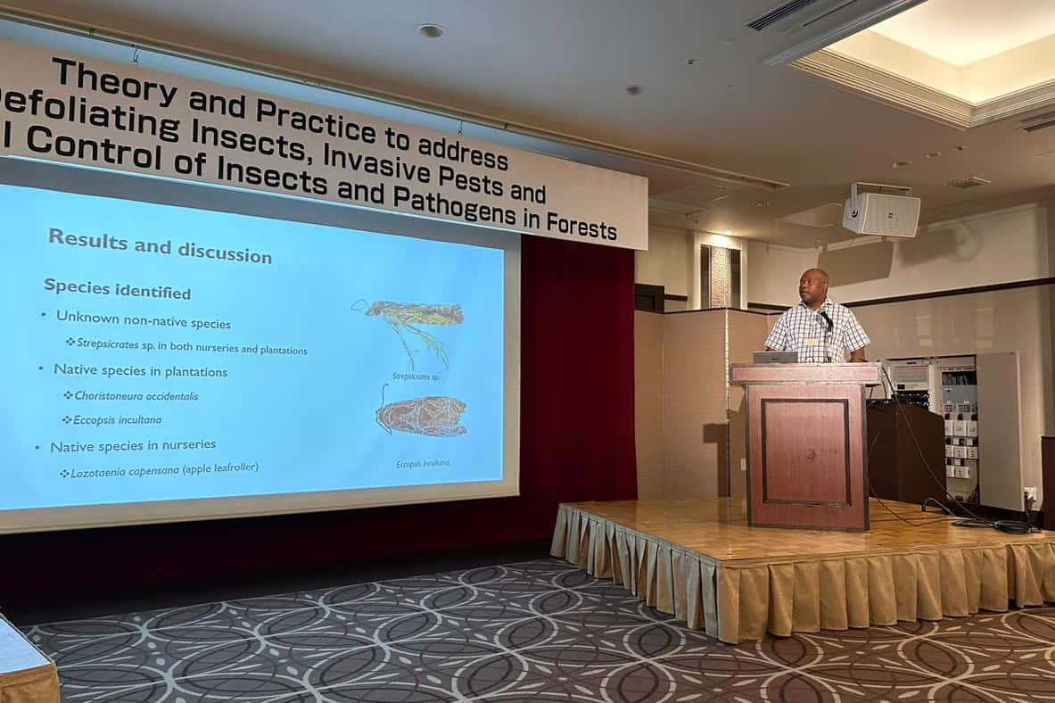FABIans participate at IUFRO Division 7 Meeting in Japan