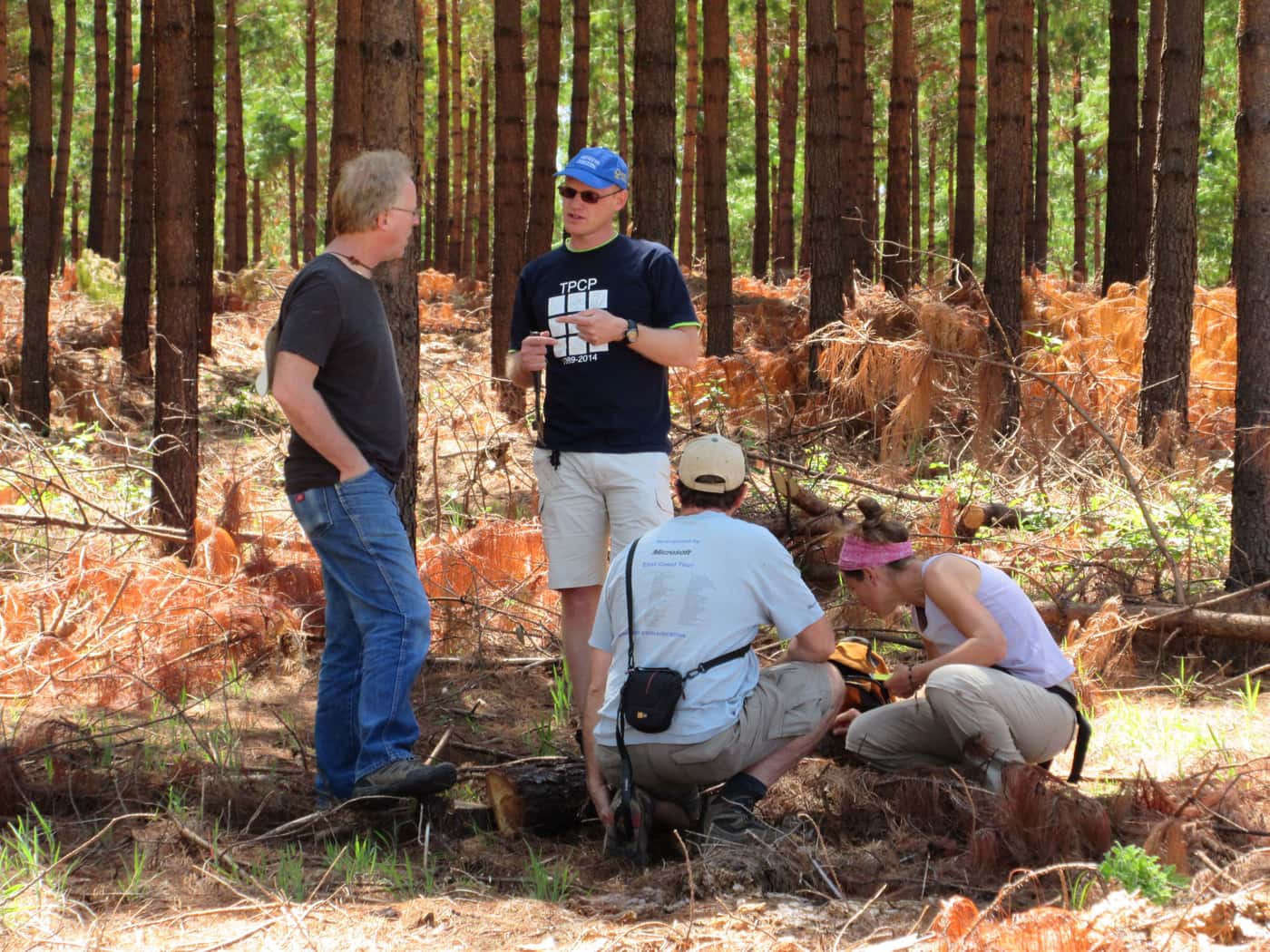Sirex International Collaborative Project continues at Hogsback