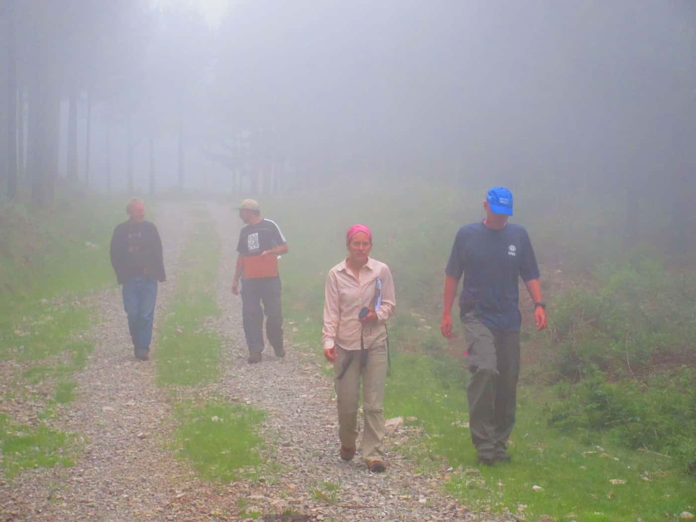 Sirex International Collaborative Project continues at Hogsback