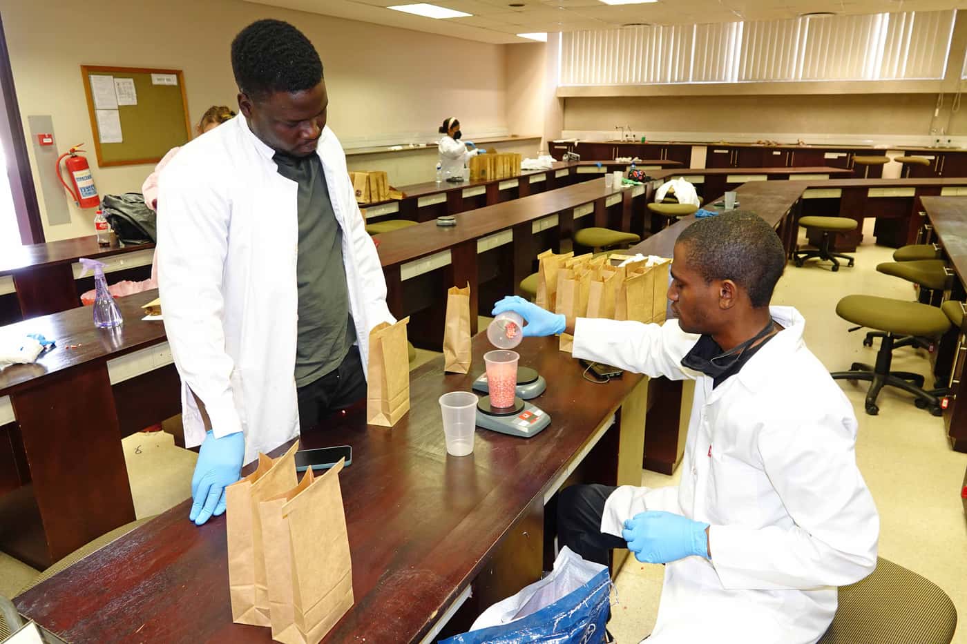 Annual seed packing for National Maize Cultivar Trials