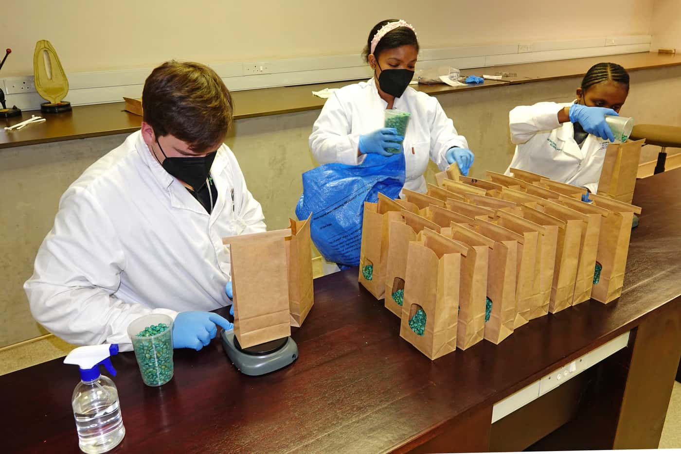 Annual seed packing for National Maize Cultivar Trials