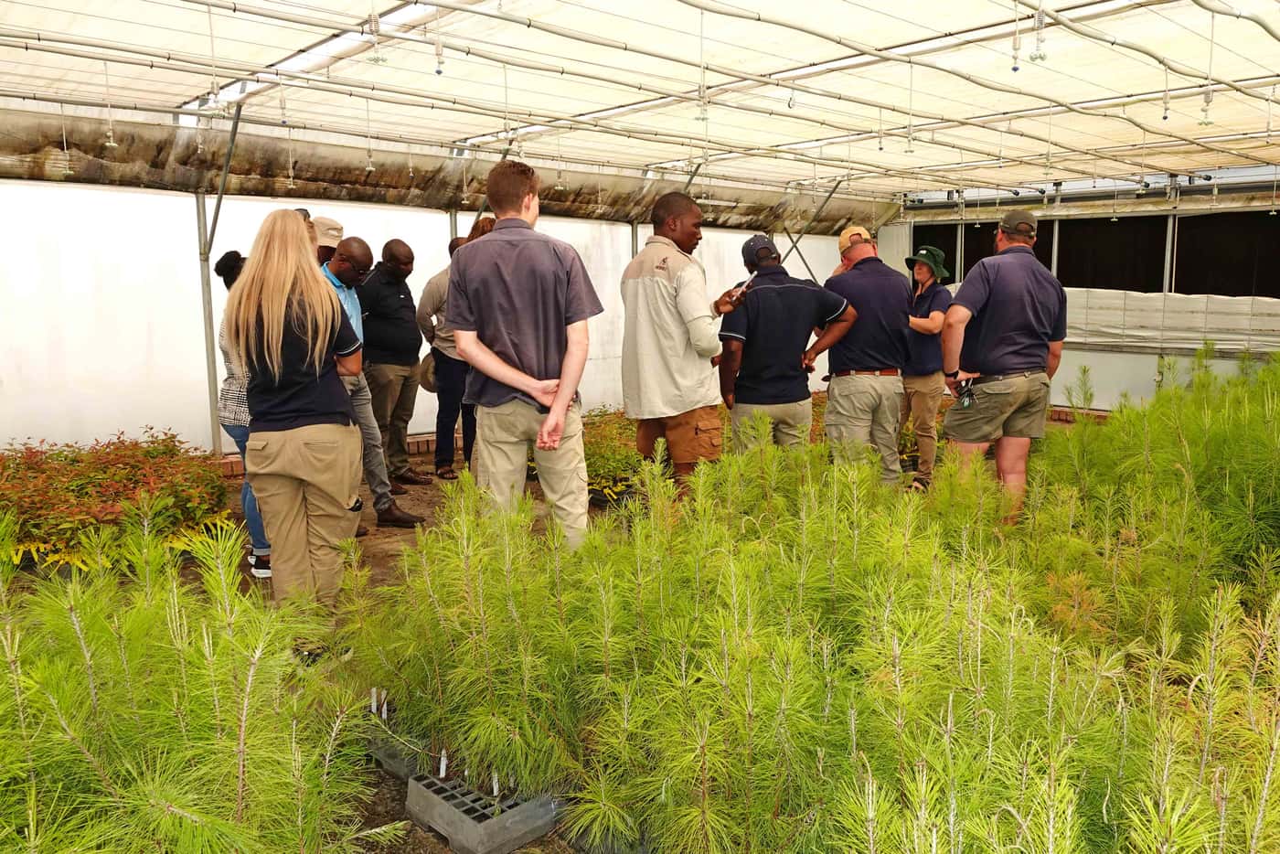 SAPPI forestry group visits FABI