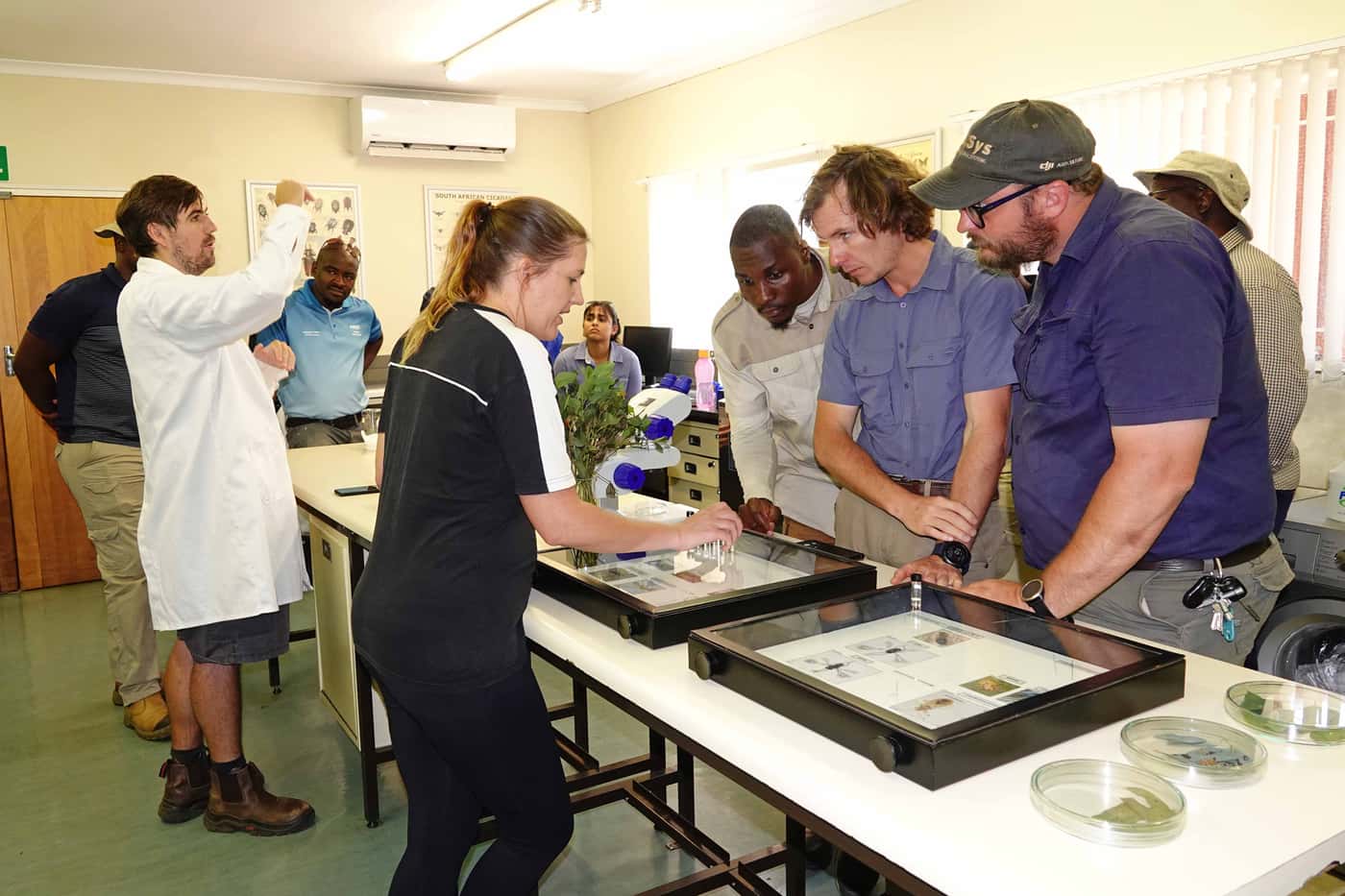 SAPPI forestry group visits FABI