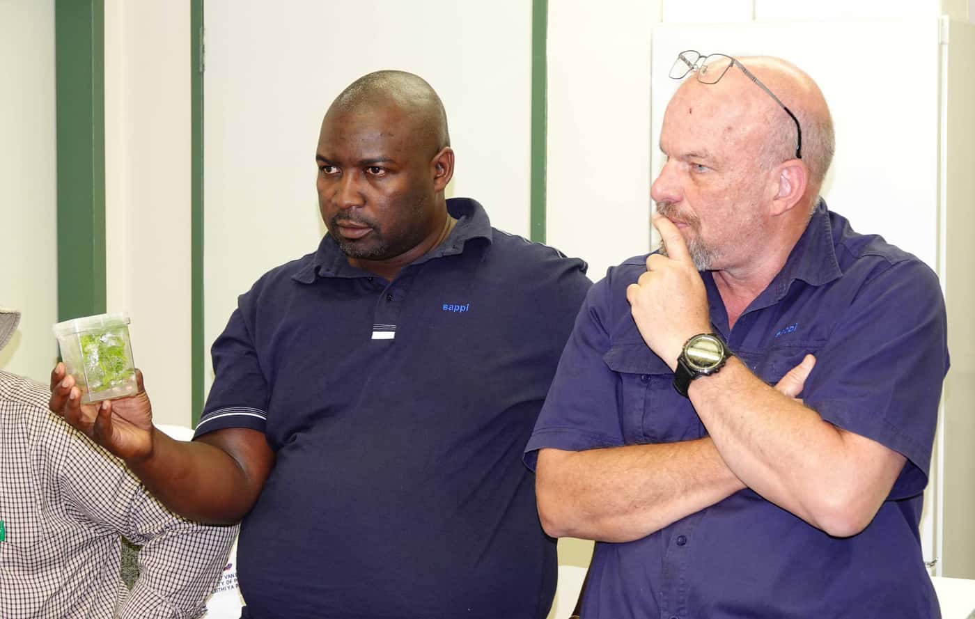 SAPPI forestry group visits FABI