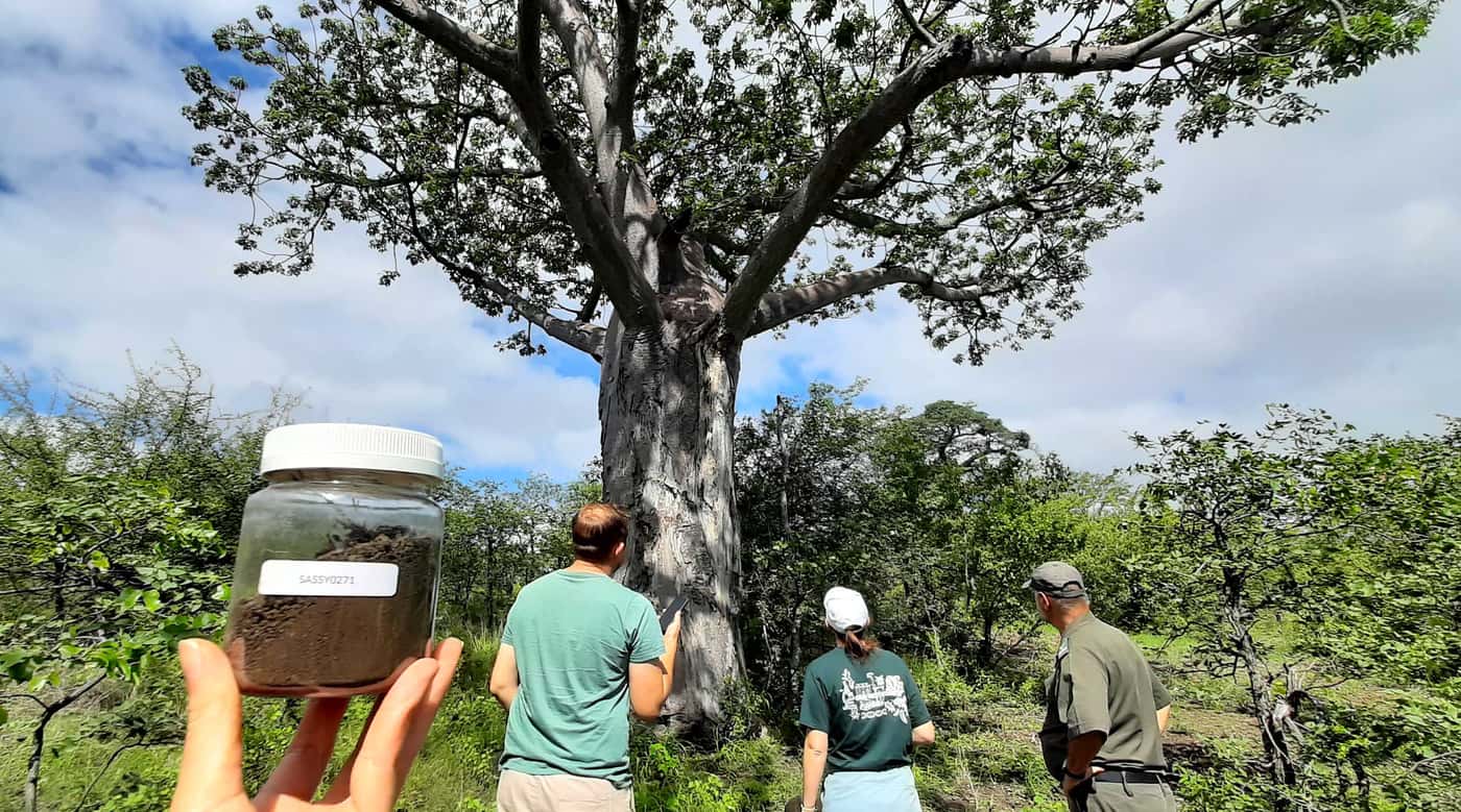 SASSY kicks off 2025 sampling in the Kruger National Park