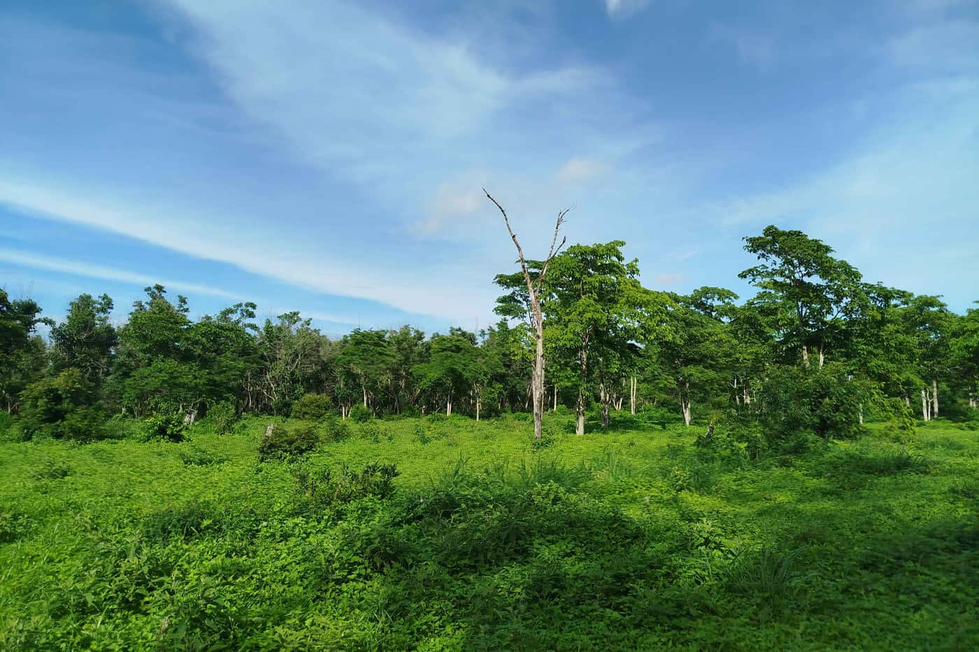 FABIans visit Kenya for a Mycobiomics expedition
