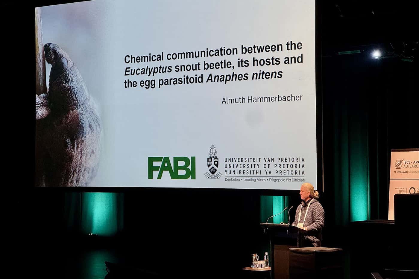 Prof. Almuth Hammerbacher recognised for her contribution to chemical ecology research