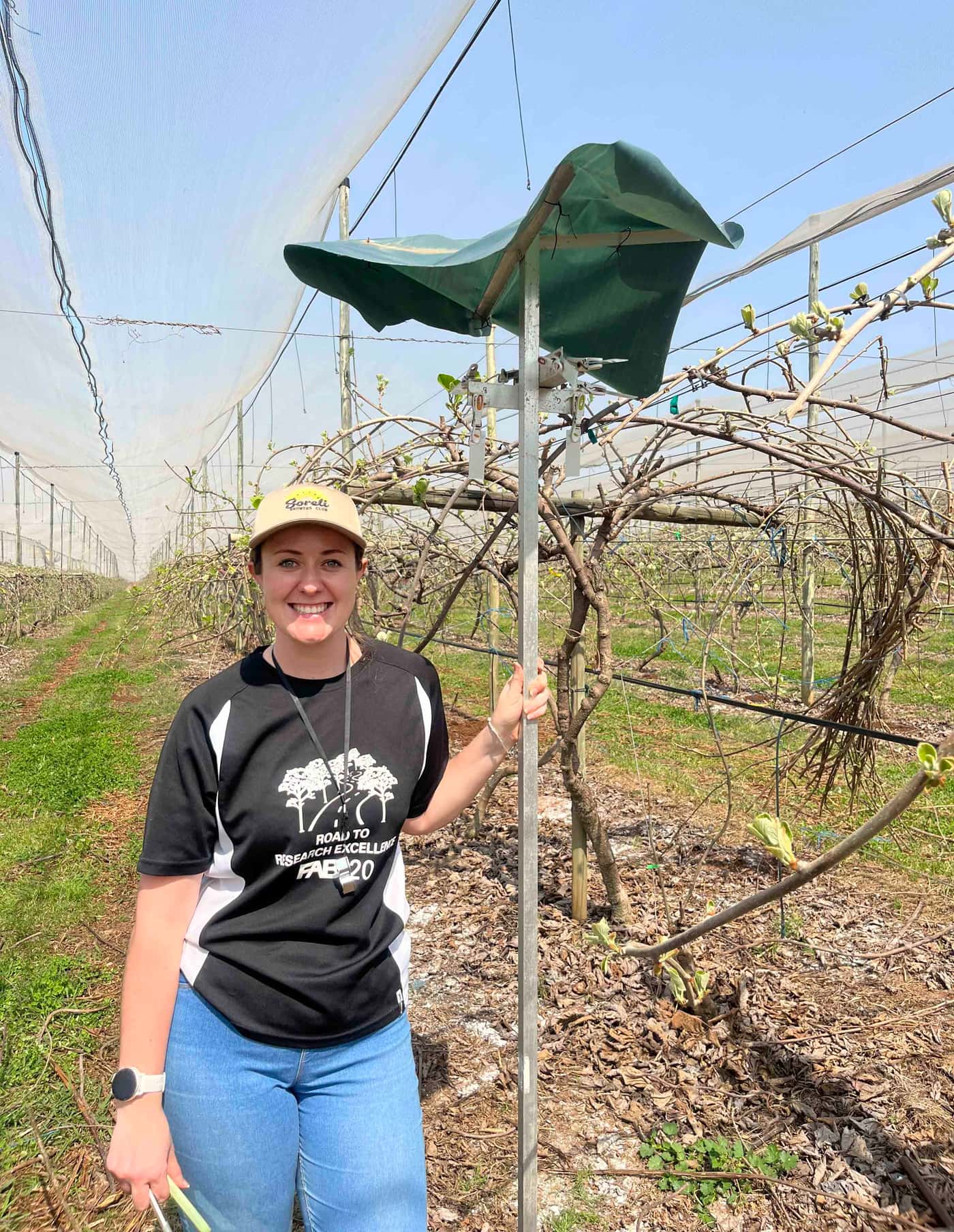 The KPP team gets ready for the new Kiwifruit season