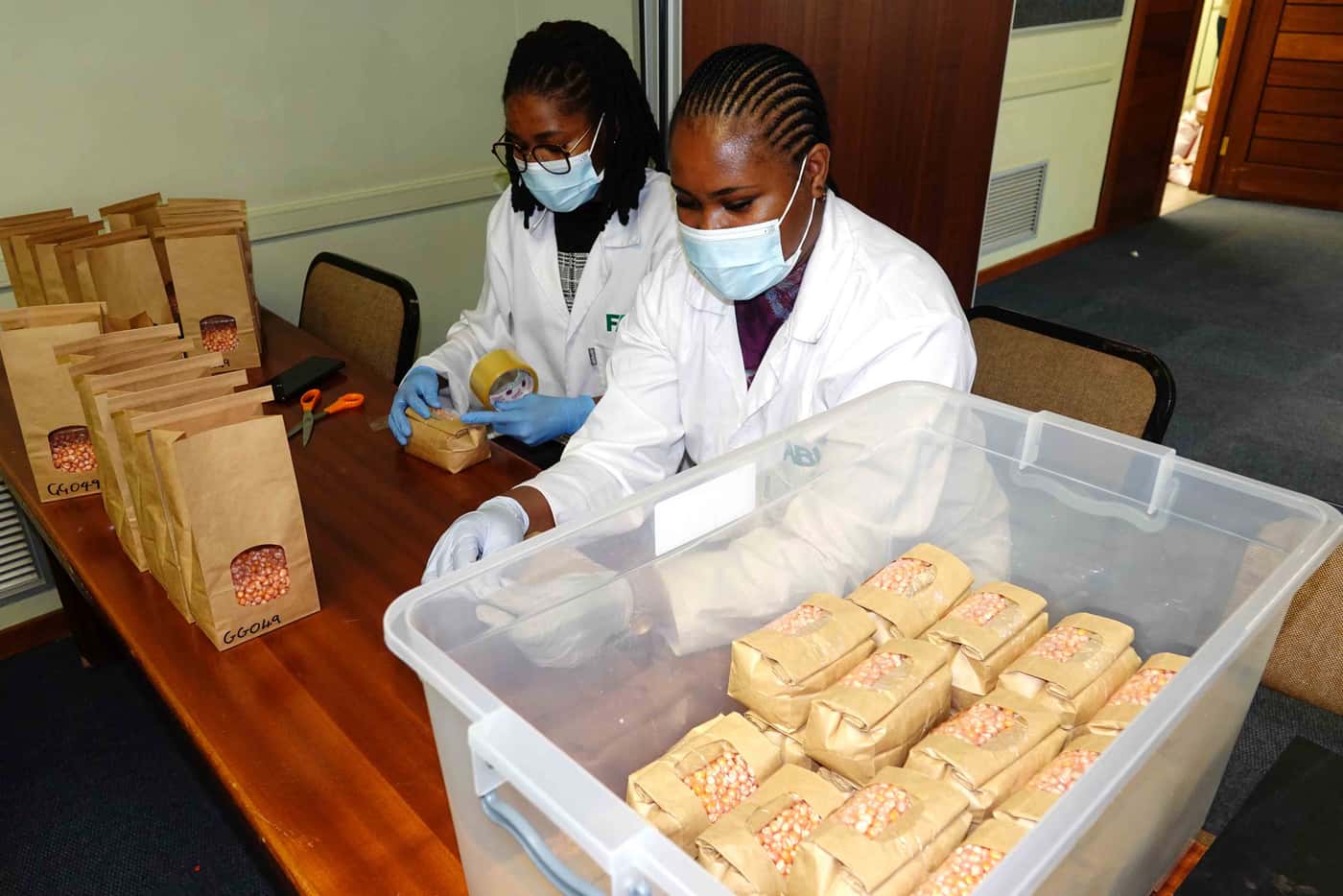 FABIans package 1.5t of maize seed for cultivar trials