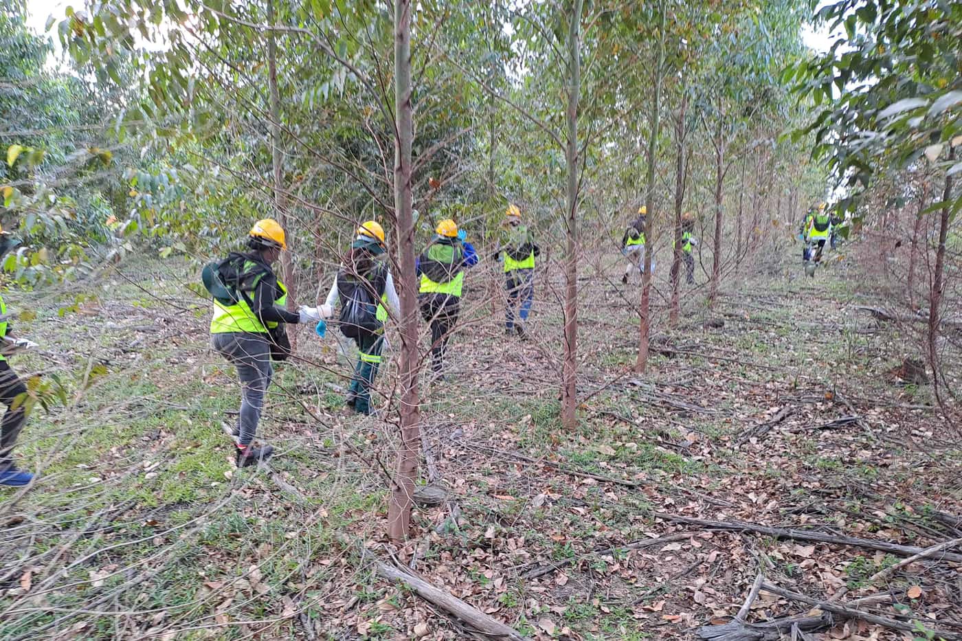 The FMG-EPPI Team Undertakes a Large-Scale Field Inoculation and Tissue Sampling Fieldtrip