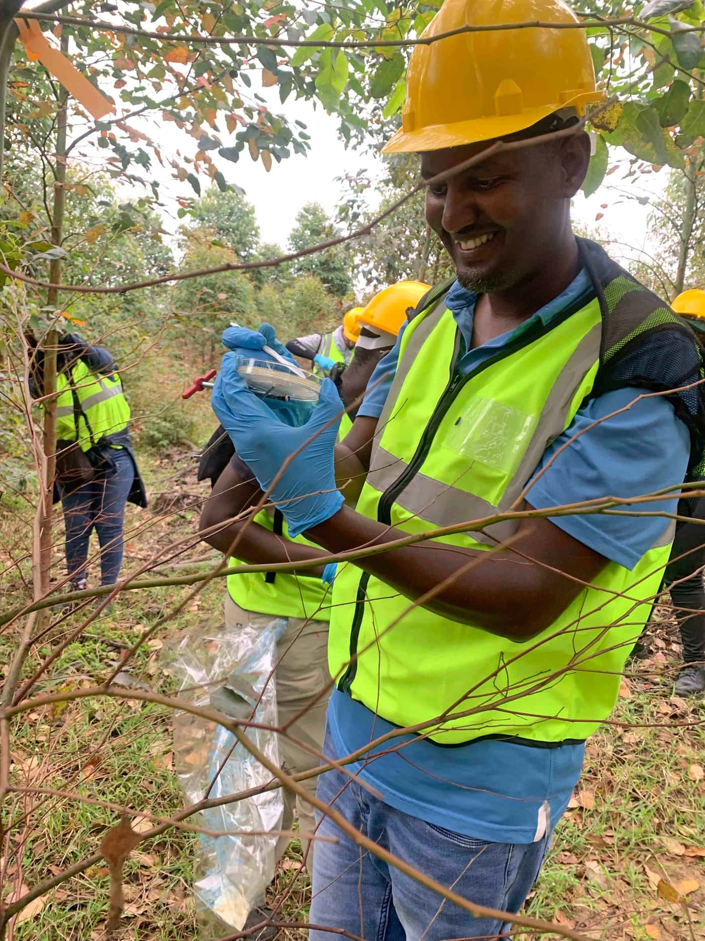 The FMG-EPPI Team Undertakes a Large-Scale Field Inoculation and Tissue Sampling Fieldtrip