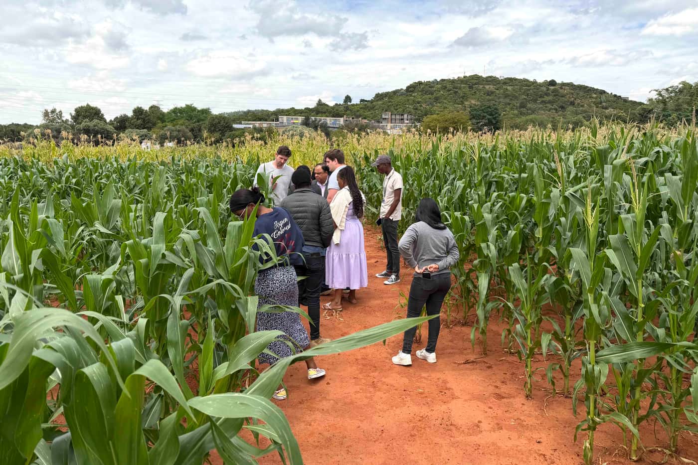 FABI hosts Tanager for a Grain Research Alignment Workshop