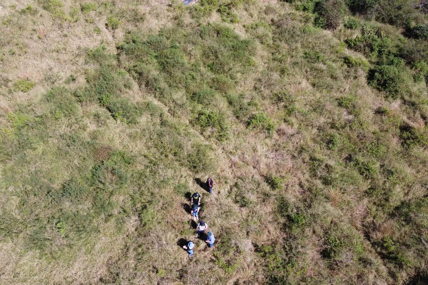 FABI Fieldwork Expands Microbial Diversity Sampling in Limpopo and Mapungubwe