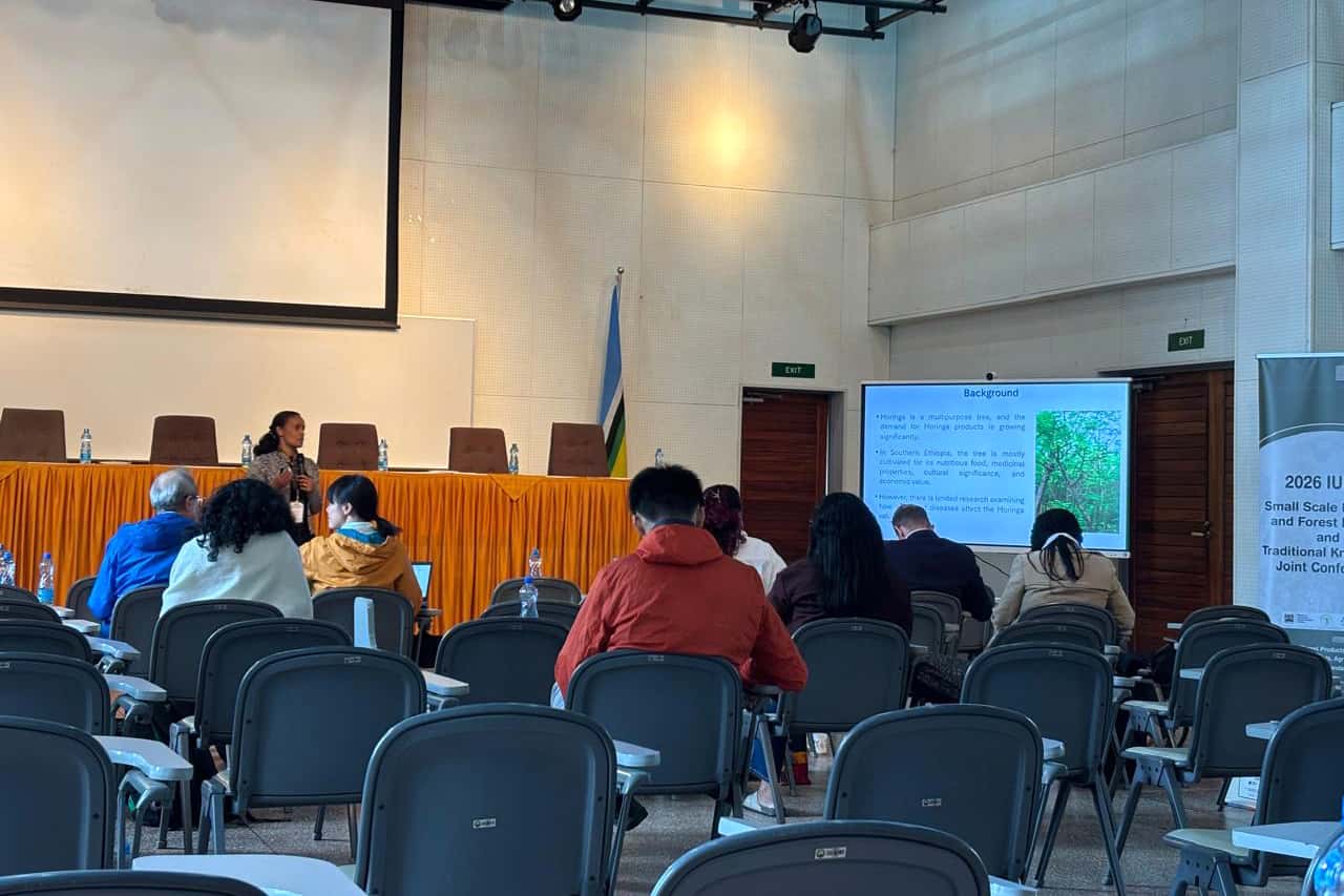 FABI Researchers attend the IUFRO Small-scale Forestry and Forest History and Traditional Knowledge 