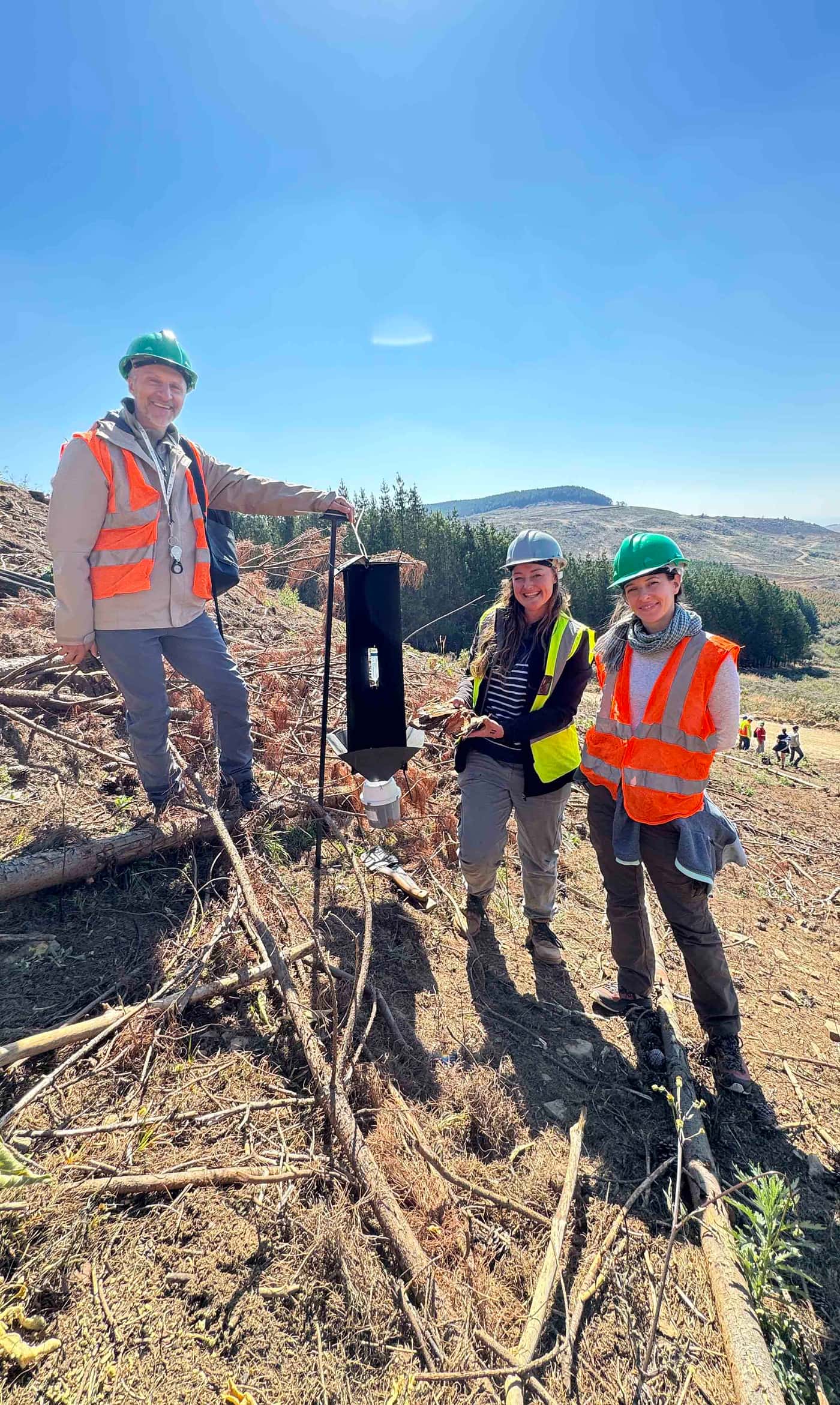 Fungi associated with South African pine-infesting bark beetles: The search continues