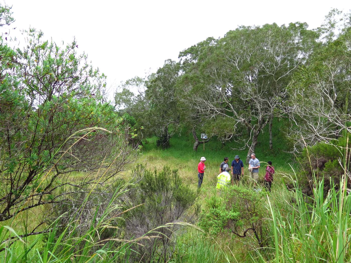 Two Centres of Excellence join forces in research on La Reunion Island
