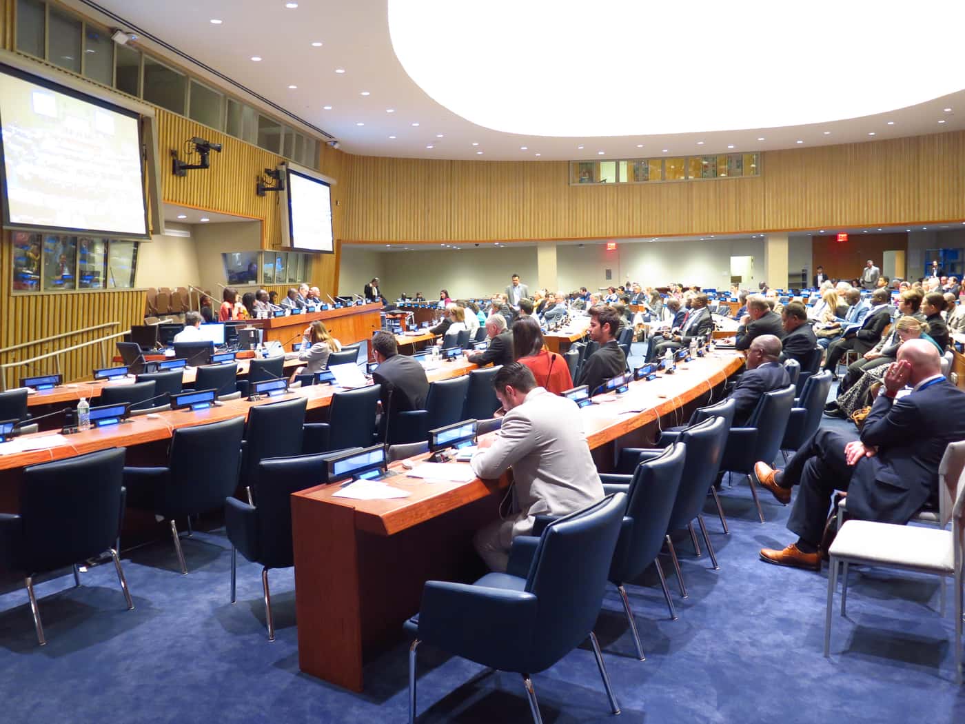 FABI director attends UNFF11 in New York