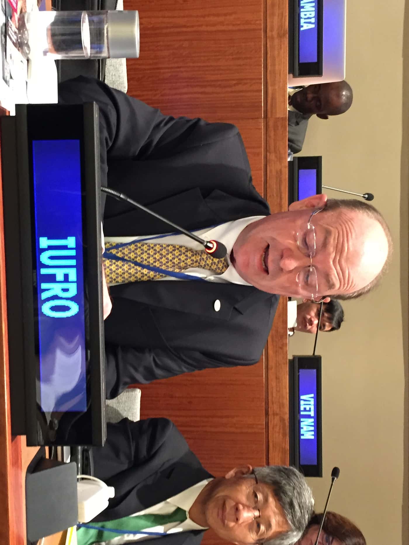 FABI director attends UNFF11 in New York