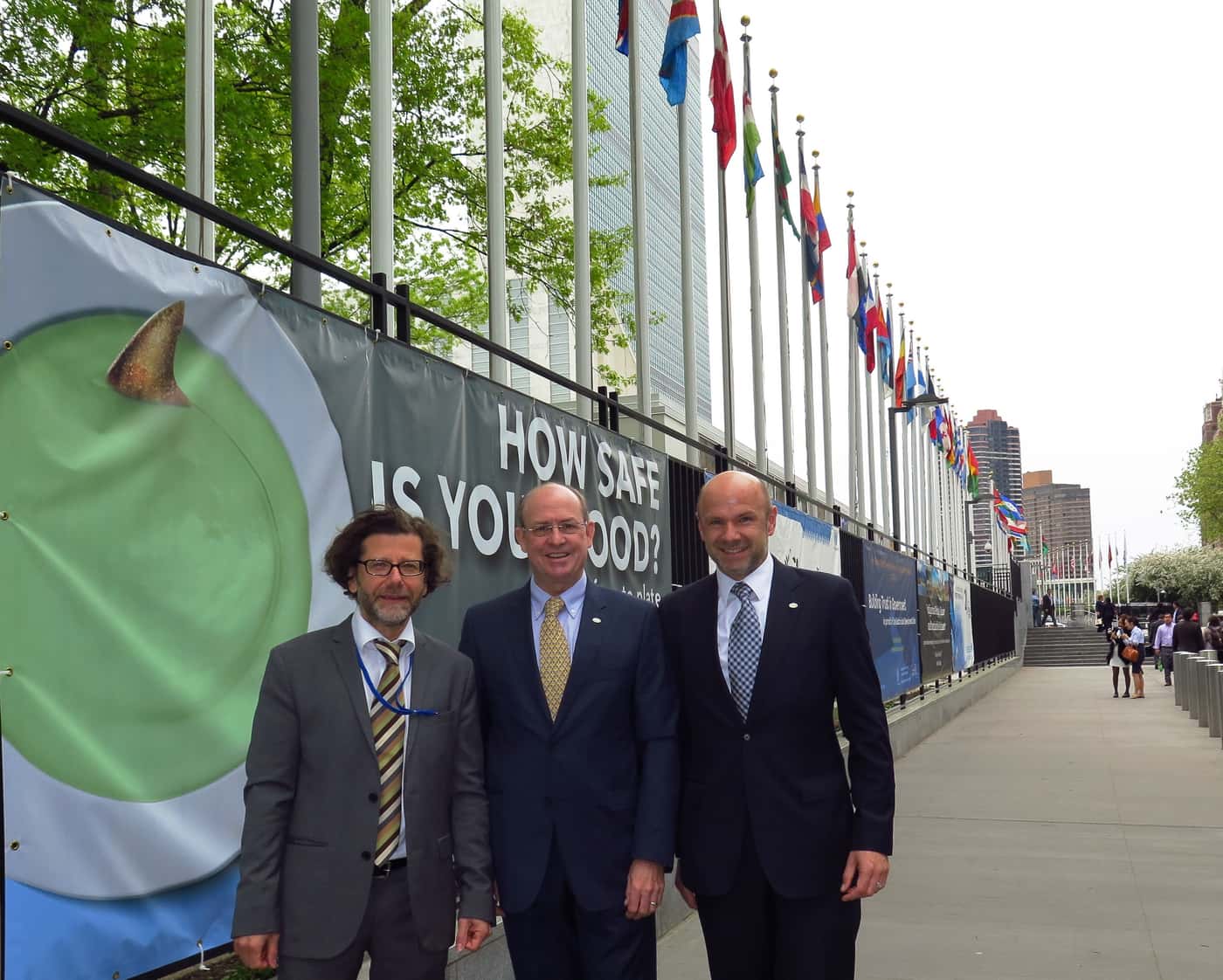 FABI director attends UNFF11 in New York