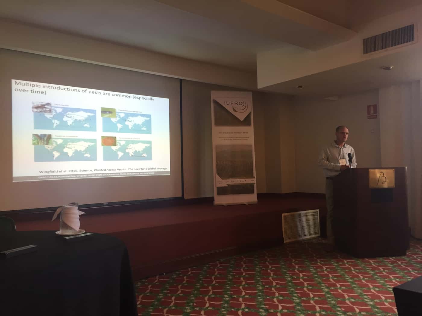 Forest health in Southern Hemisphere commercial plantations