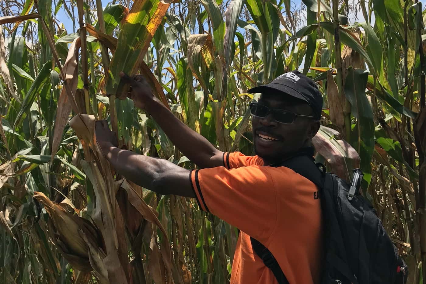Kenya maize pathology workshop “on the equator” a resounding success