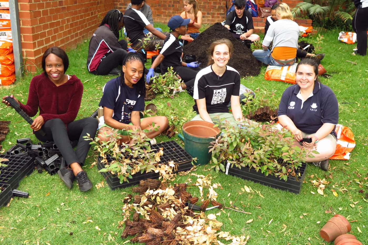 FABIans complete the last tree planting exercise of 2018