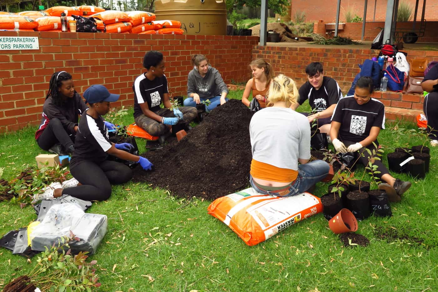 FABIans complete the last tree planting exercise of 2018