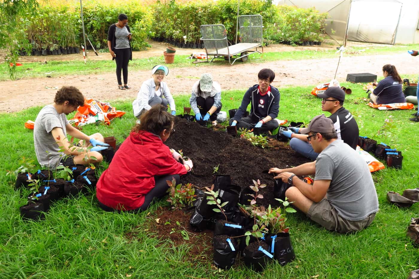 FABIans complete the last tree planting exercise of 2018