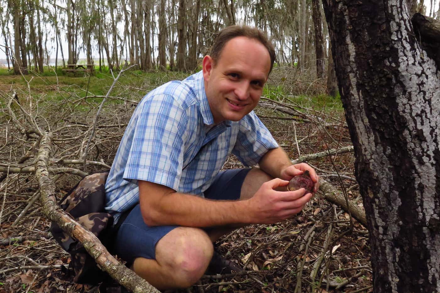 A tree health engagement in Florida