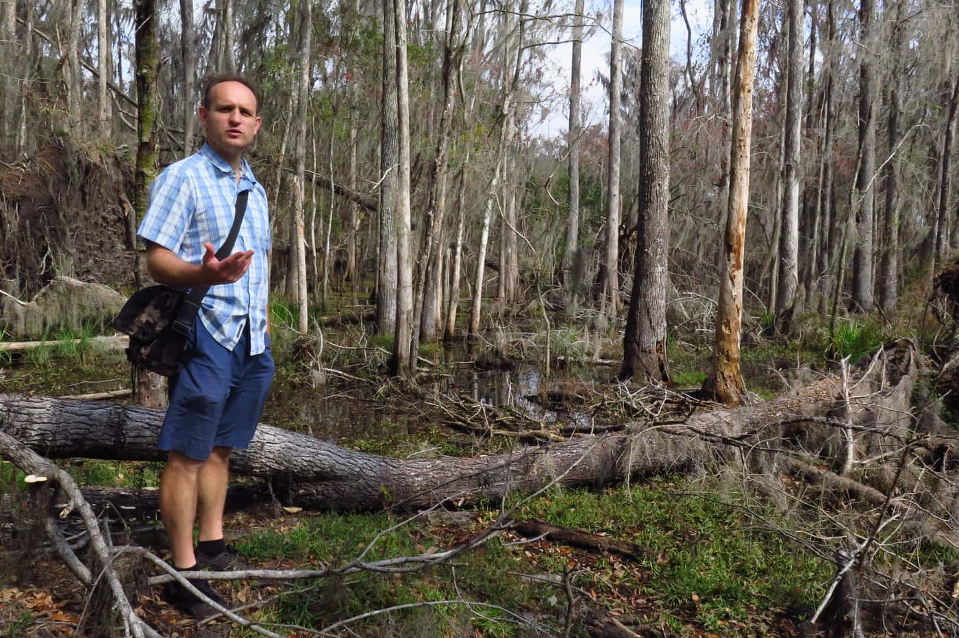 A tree health engagement in Florida