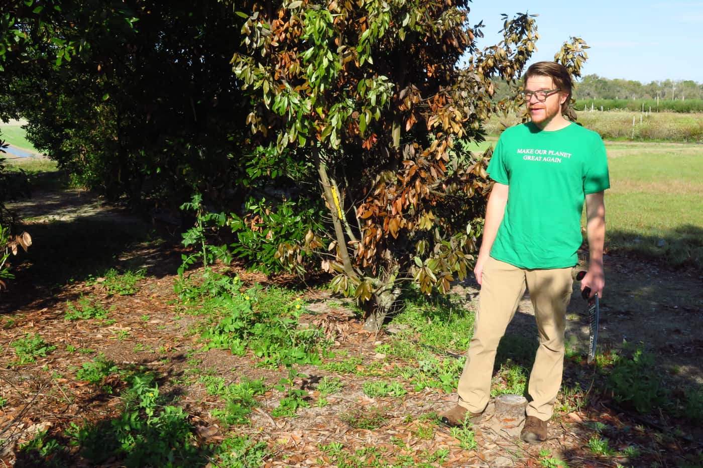 A tree health engagement in Florida