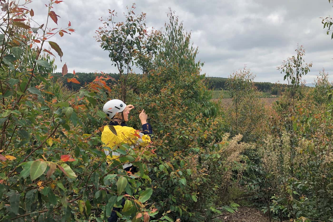 Busy week in the field for the TPCP