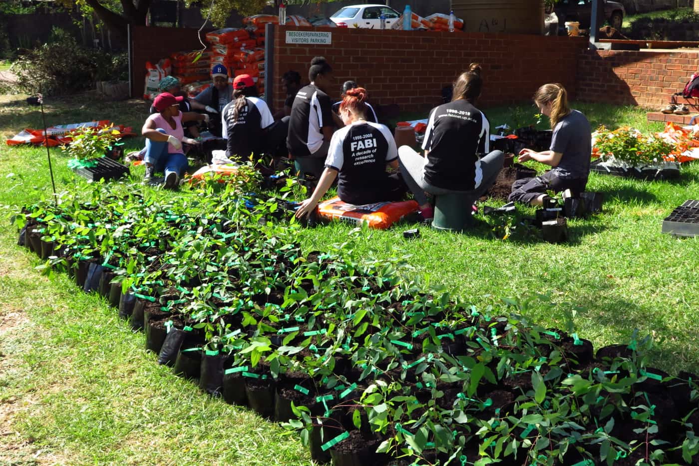 FABIans flexed their green fingers at 2019’s first tree planting session