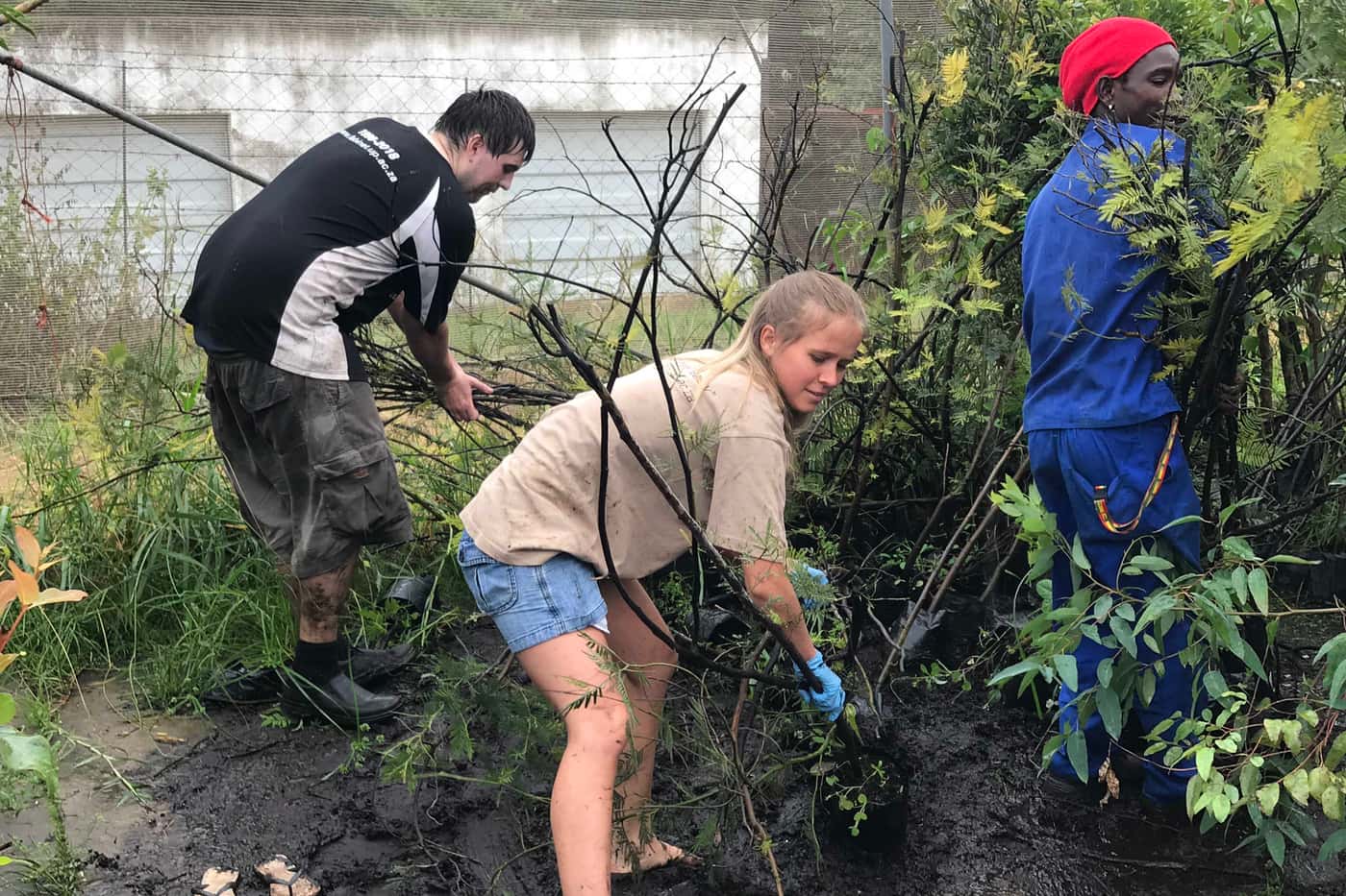 Tree Planting goes on despite wet conditions