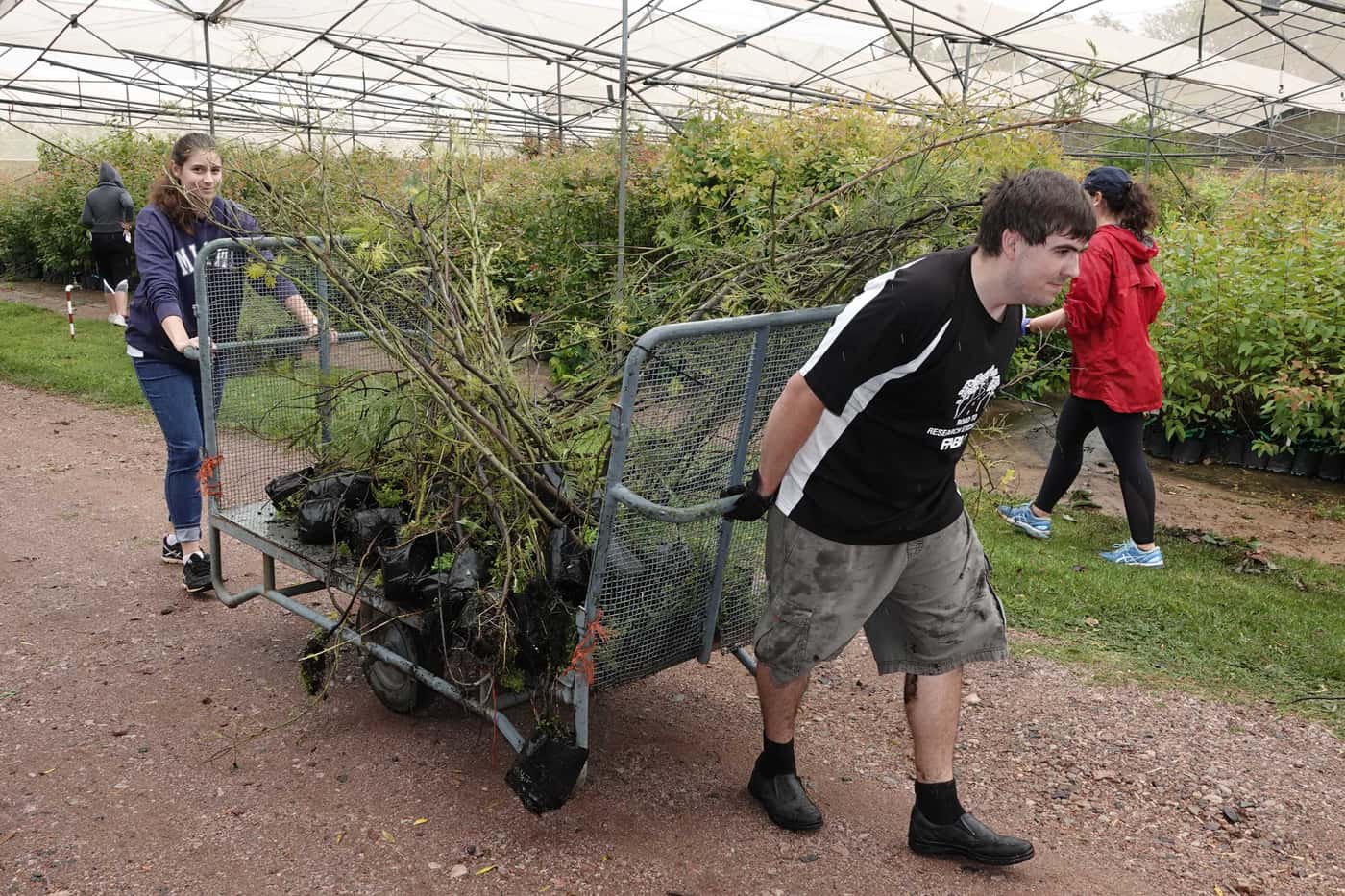 Tree Planting goes on despite wet conditions