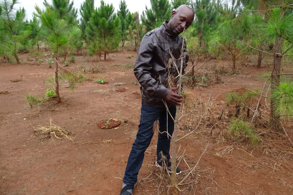 Building collaborations in Uganda